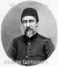 محمد امین عالی پاشا